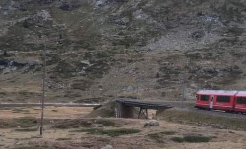 viaggio di gruppo trenino bernina