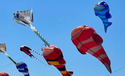 viaggio di gruppo cervia aquiloni artevento