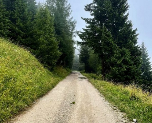 viaggio di gruppo folgaria e baita
