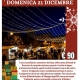 viaggio di gruppo-Mercatini di Natale di Rovereto- i viaggi di lara