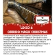 viaggio di gruppo-Orrido di Bellano Christmas Lights-i viaggi di lara