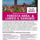 viaggio di gruppo-Foresta Nera e Danubio - i viaggi di lara
