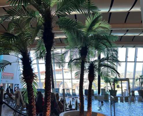 viaggio di gruppo aquardens terme verona571113692_1411933297608123_6105654948240756849_n