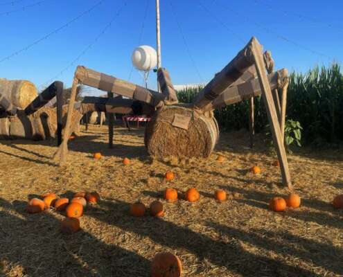 viaggio di gruppo navigazione sile e villaggio zucche nonno andrea571360202_1412854237516029_8139330079086244828_n