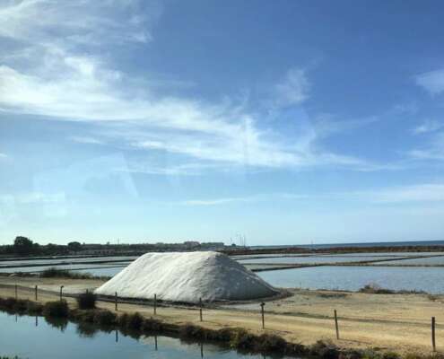 viaggio di gruppo trapani erice marsala571340652_1411942454273874_7610682133574450736_n