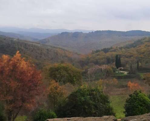 viaggio di gruppo chianti582923428_1432702308864555_7671843448152403776_n