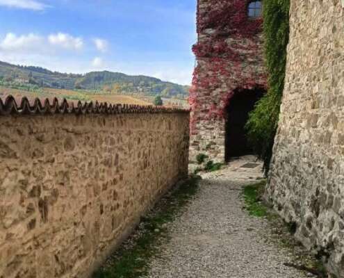 viaggio di gruppo chianti583325410_1432702865531166_8520041085505816907_n