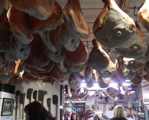 viaggio di gruppo chianti583798166_1432702615531191_7736669055455735918_n