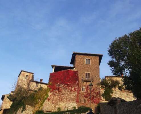 viaggio di gruppo chianti583940971_1432703108864475_3706515853879823778_n