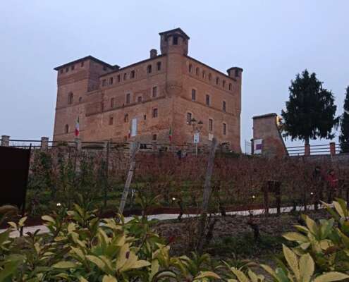 viaggio di gruppo le langhe582487658_1432697005531752_1569794473700573447_n