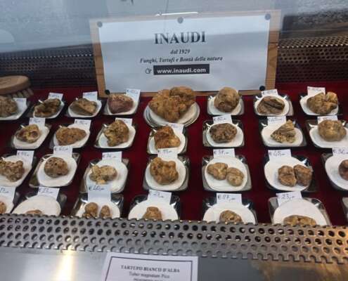 viaggio di gruppo le langhe583323937_1432696665531786_389054720716046051_n