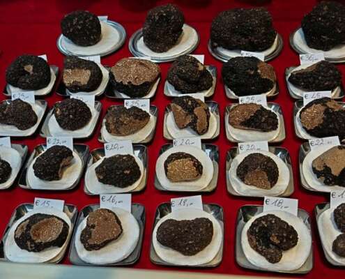 viaggio di gruppo le langhe583324154_1432696722198447_2618046943271225178_n