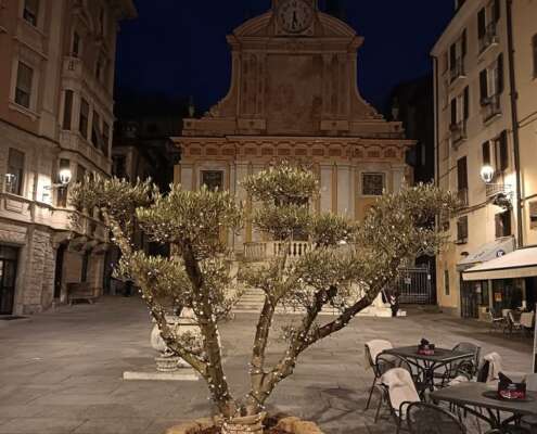 viaggio di gruppo le langhe584552979_1432696402198479_3510436048302127593_n