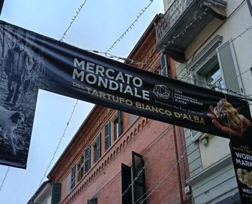 viaggio di gruppo le langhe584729203_1432696702198449_5424695442520340692_n