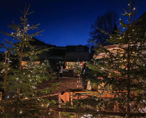 viaggio di gruppo mercatini bolzano