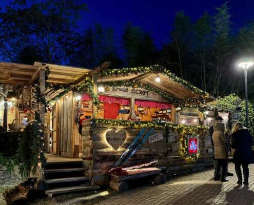 viaggio di gruppo mercatini di natale levico e pedavena590049512_1444100687724717_9199923404802813650_n