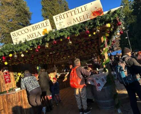 viaggio di gruppo mercatini di natale levico e pedavena591730015_1444100271058092_6654190517261760200_n
