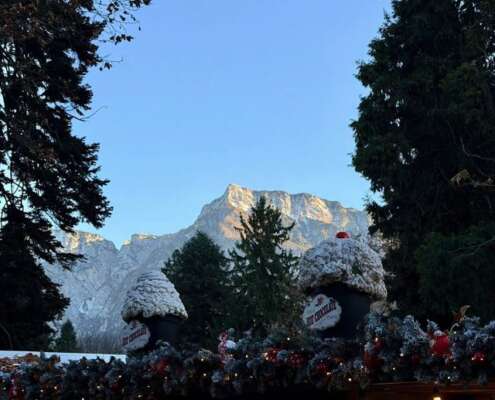 viaggio di gruppo mercatini di natale levico e pedavena591740411_1444100634391389_1735901130769327275_n