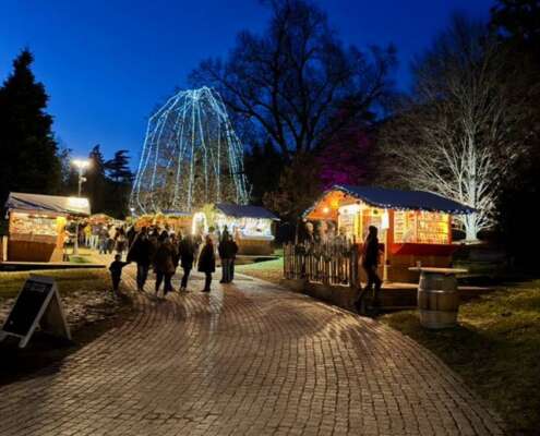 viaggio di gruppo mercatini di natale levico e pedavena591753327_1444100314391421_5350731364854110541_n