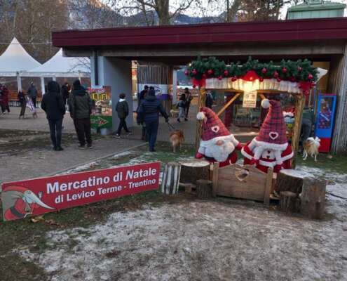 viaggio di gruppo mercatini di natale levico e pedavena591754833_1444100831058036_918657864437769429_n