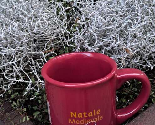 viaggio di gruppo mercatini natale bressanone e chiusa