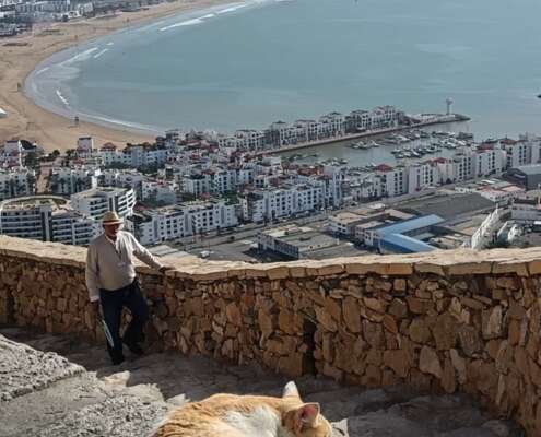Crociera gruppo canarie madera e marocco i viaggi di lara623298595_1493414836126635_3498705505788708118_n