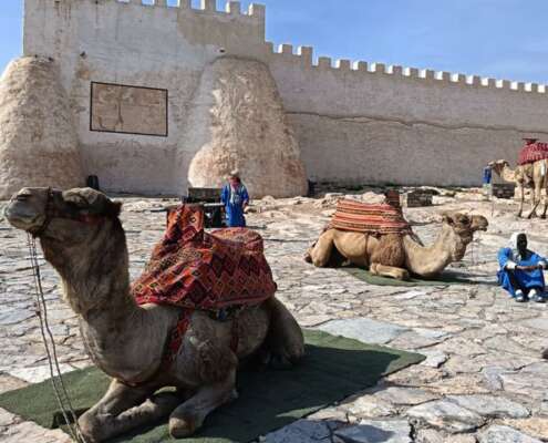 Crociera gruppo canarie madera e marocco i viaggi di lara623685685_1493414706126648_5939209367458961468_n