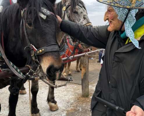 viaggio di gruppo alpe di siusi- i viaggi di lara
