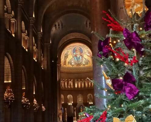 viaggio di gruppo capodanno costa azzurra608576521_1471900294944756_3882968004367778969_n