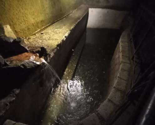 viaggio di gruppo a napoli641421165_1517982960336489_7188115784144266938_n