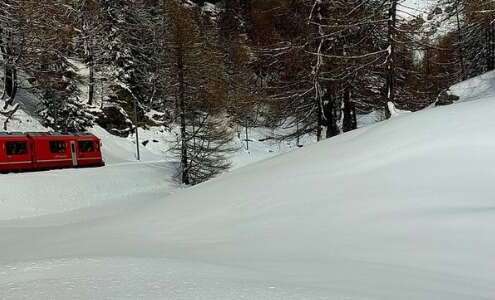 viaggio di gruppo-trenino del bernina- i viaggi di lara