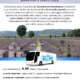 viaggi di gruppo-Festa Lavanda Assisi-i viaggi di lara