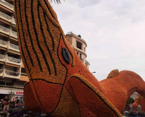 viaggio di gruppo a mentone festa limoni nizza643450992_1524471203020998_4266589452254515191_n