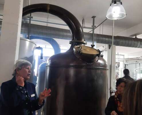 viaggio di gruppo a mentone festa limoni nizza644189139_1524470529687732_7964679808773213908_n