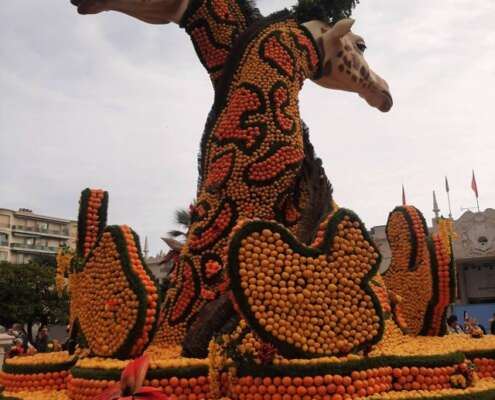 viaggio di gruppo a mentone festa limoni nizza644512766_1524470979687687_3463827038994131879_n