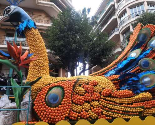 viaggio di gruppo a mentone festa limoni nizza644584051_1524471329687652_7340456964806928378_n