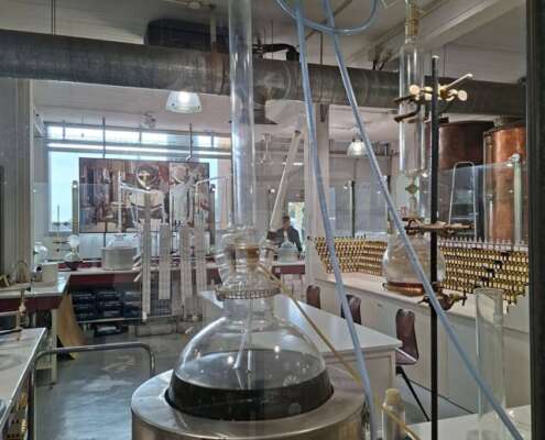 viaggio di gruppo a mentone festa limoni nizza644821347_1524470369687748_4366891945864358631_n