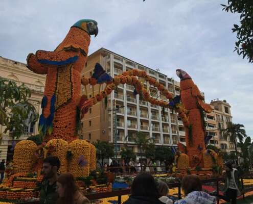 viaggio di gruppo a mentone festa limoni nizza645061718_1524470756354376_1388497199569479080_n