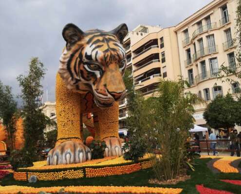 viaggio di gruppo a mentone festa limoni nizza645285957_1524470959687689_721706824687204424_n