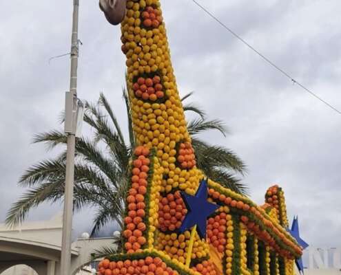 viaggio di gruppo a mentone festa limoni nizza646379408_1524470669687718_3372298824054499998_n