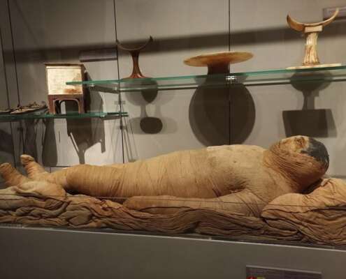 viaggio di gruppo-torino- i viaggi di lara651269634_1536211898513595_2767120939494517335_n