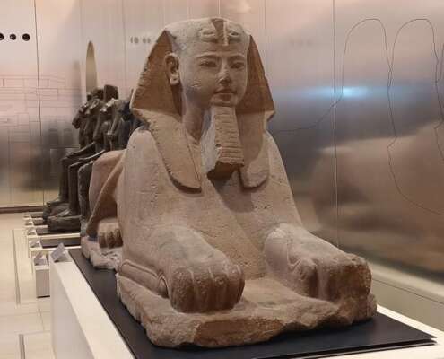 viaggio di gruppo-torino- i viaggi di lara653494359_1536211921846926_6610119493005454918_n