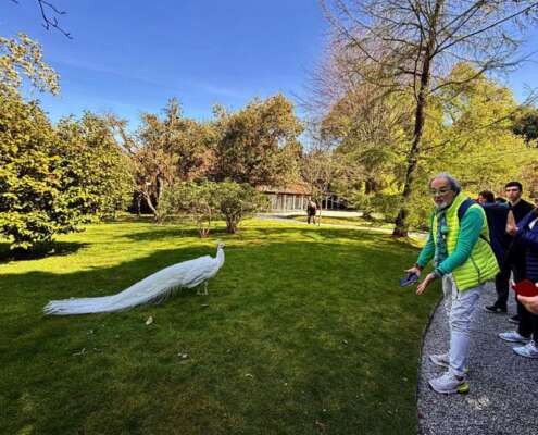 viaggio di gruppo isole borromee666002011_1556447756490009_2651052756267621269_n