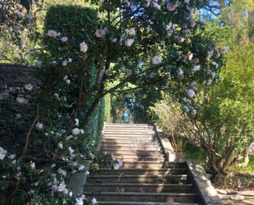 viaggio di gruppo isole borromee668465142_1556447626490022_4272999849110163311_n