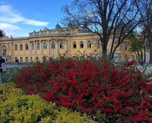 viaggio di gruppo pasqua budapest666489643_1556444239823694_4101450584510785320_n