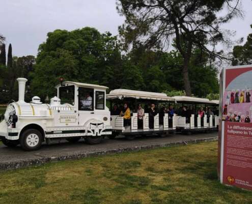 viaggio di gruppo sigurtà e borghetto, i viaggi di lara670417168_1561638879304230_4385213516252991198_n