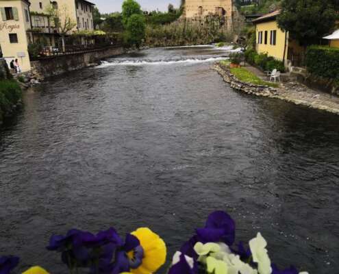 viaggio di gruppo sigurtà e borghetto, i viaggi di lara670881702_1561639435970841_8932675289372264151_n