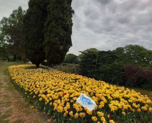 viaggio di gruppo sigurtà e borghetto, i viaggi di lara672673315_1561638779304240_8499153025877686615_n