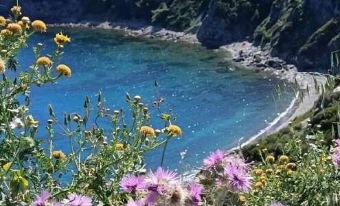 viaggio di gruppo all'isola d'elba