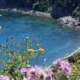 viaggio di gruppo all'isola d'elba